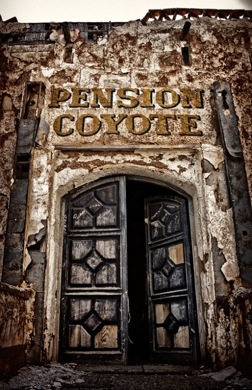 pension-coyote2